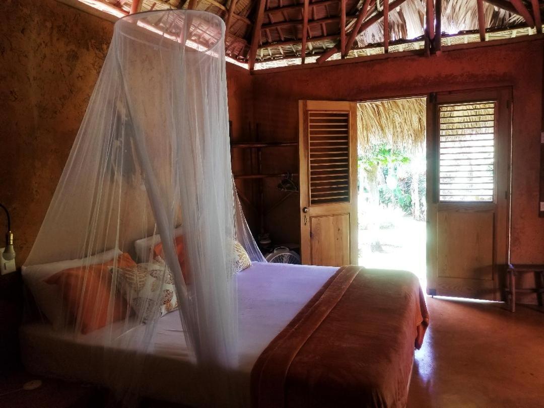 Solazul Bed and Breakfast Las Galeras Εξωτερικό φωτογραφία