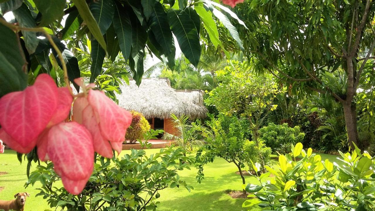 Solazul Bed and Breakfast Las Galeras Εξωτερικό φωτογραφία